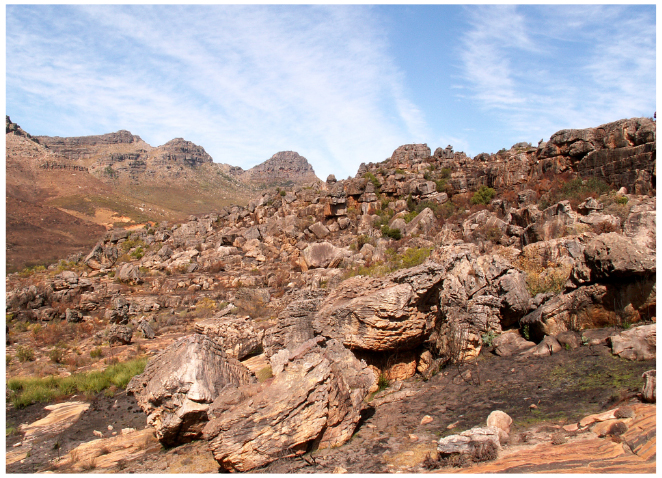 File:53 stonemoor.jpg