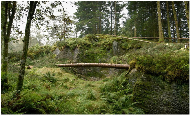 File:58 greater kascht.jpg