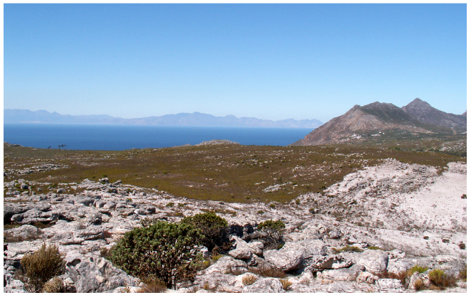 File:49 gold island.jpg
