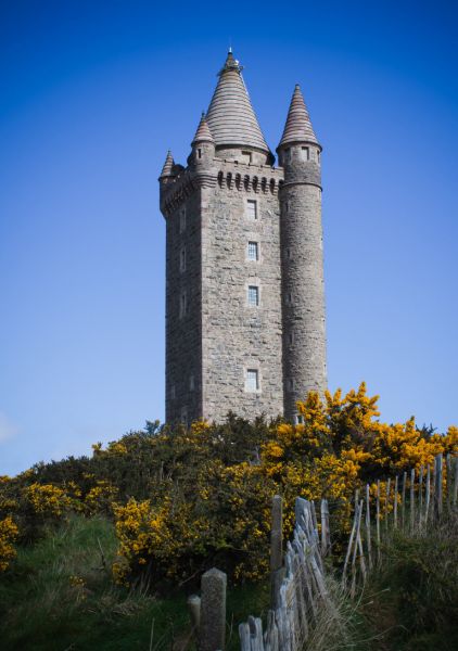 File:376 draccrest.jpg