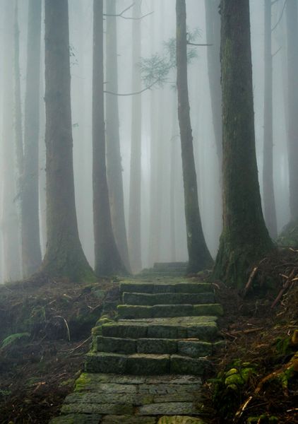 File:398 lorbank pineedge.jpg