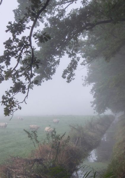 File:372 coldmist.jpg