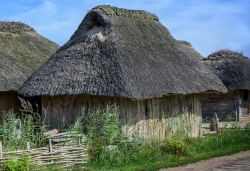 File:65 cordale.jpg