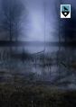 Thumbnail for version as of 18:23, 18 March 2022