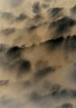 Thumbnail for version as of 08:09, 23 March 2022