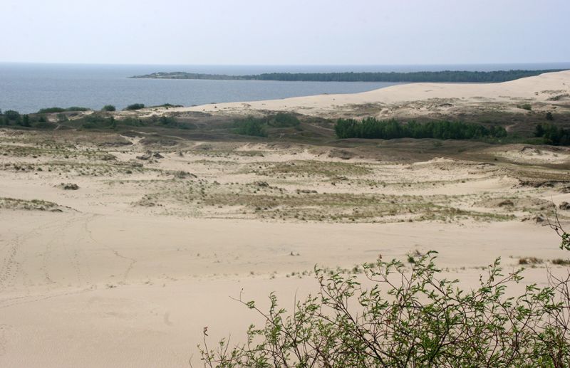 File:457 village whitecoast beach.jpg
