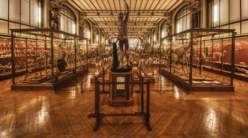 File:429 museum.jpg