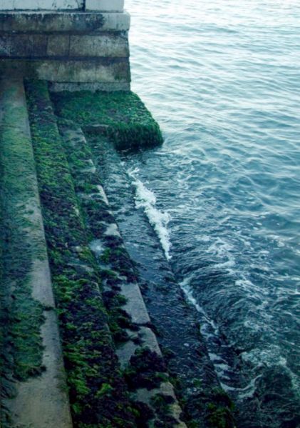 File:522.jpg