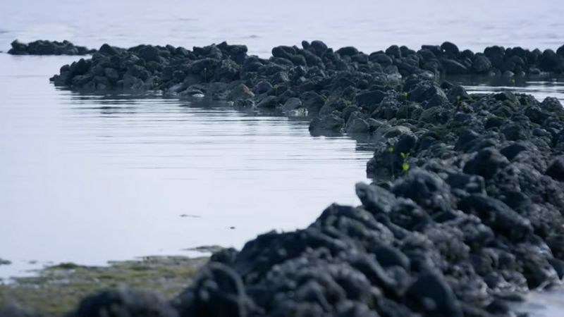 File:501 fishtraop.jpg