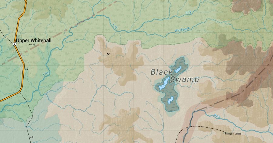 Black swamp.jpg